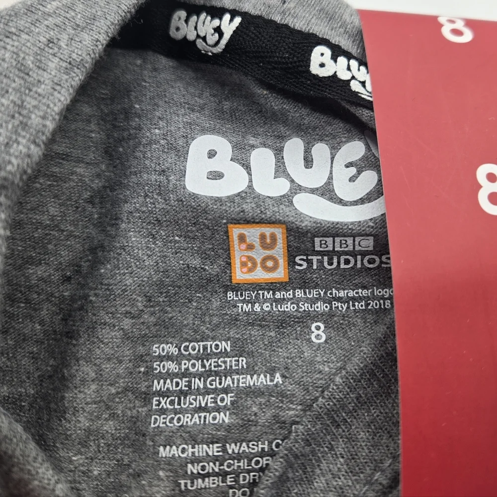 Bluey Unisex Pumpkin Halloween T-Shirt Gray 8